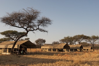 Kamp in Serengeti tijdens safari met caracal tours & safaris in Tanzania