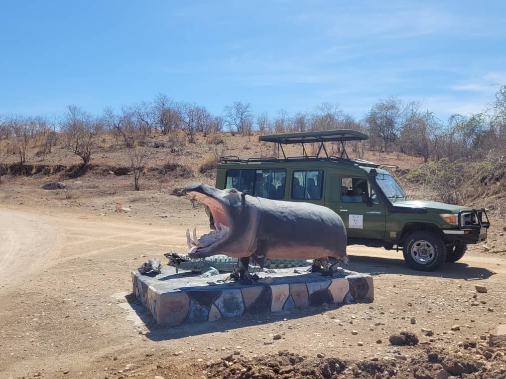 Onze auto in Ruaha tijdens een safari met Caracal Tours & Safaris in Tanzania