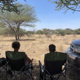 Bush brunch met giraffen in West Kilimanjaro met Caracal Tours & Safaris, Tanzania