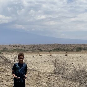 Giraffen in West Kilimanjaro met Caracal Tours & Safaris, Tanzania